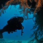 1 santa maria open water diver padi or ssi course Santa Maria: Open Water Diver - PADI or SSI Course