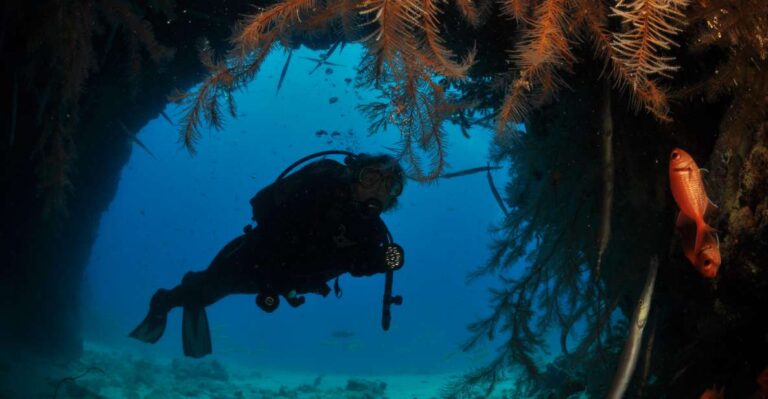 Santa Maria: Open Water Diver – PADI or SSI Course