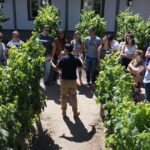 1 santa rita winery selection tour Santa Rita Winery Selection Tour