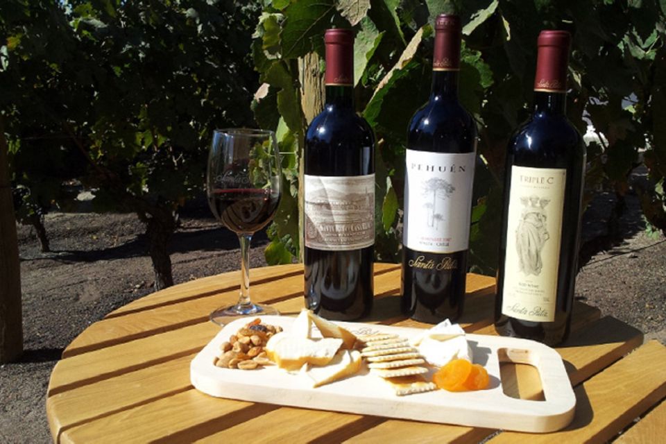 1 santiago half day santa rita vineyard tour Santiago: Half–Day Santa Rita Vineyard Tour