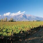 1 santiago main chilean wineries private half day tours Santiago: Main Chilean Wineries Private Half-Day Tours