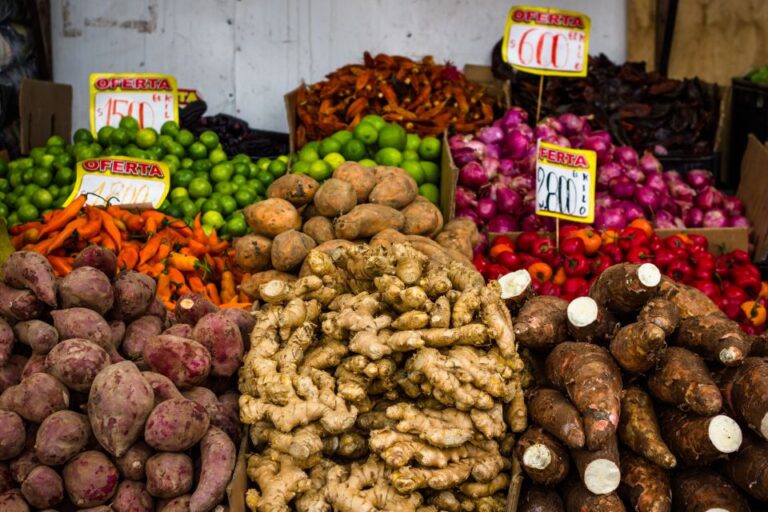 Santiago: Markets Bike Tour