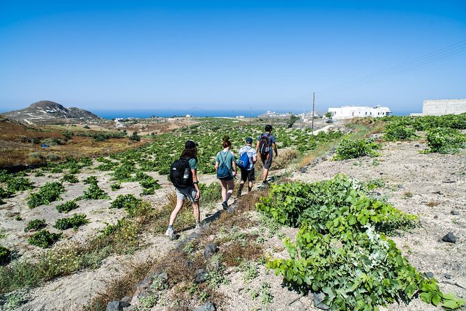 Santorini : Cooking Class & Easy Hike