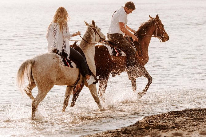 Santorini Small-Group Horseback Safari for All Levels (Mar )