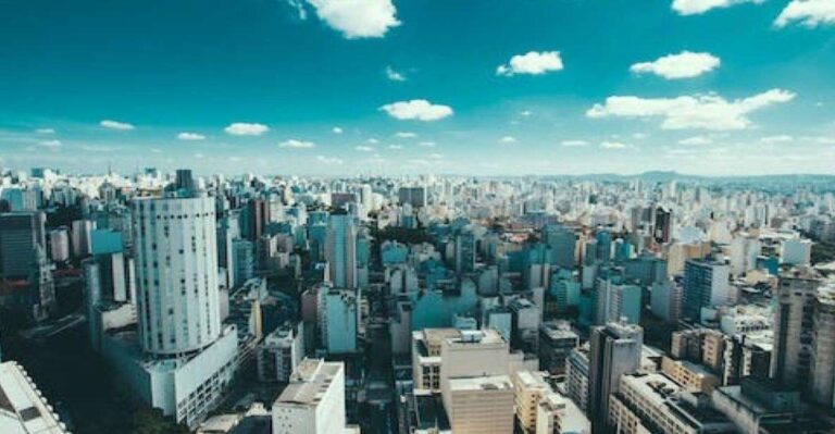 Santos Private Shore Excursion: Sao Paulo Full Day City Tour