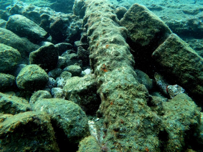 1 sao miguel snorkeling around vila franca do campo Sao Miguel: Snorkeling Around Vila Franca Do Campo