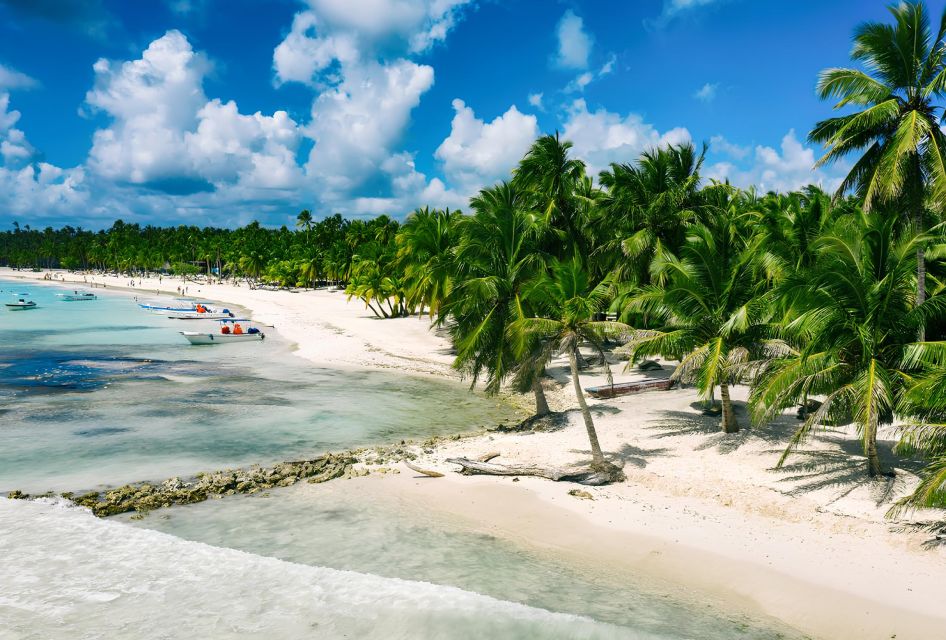 Saona Island Private: Speedboat Tour From Punta Cana