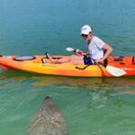 1 sarasota guided mangrove tunnel kayak tour Sarasota Guided Mangrove Tunnel Kayak Tour