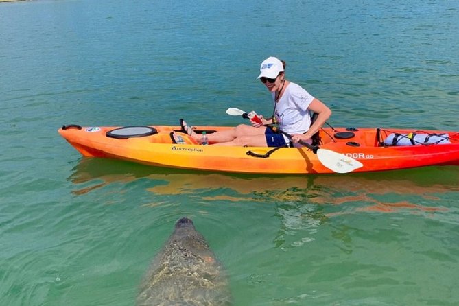 1 sarasota guided mangrove tunnel kayak tour Sarasota Guided Mangrove Tunnel Kayak Tour