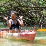 sarasota-mangroves-kayaking-small-group-tour-mar-tour-overview