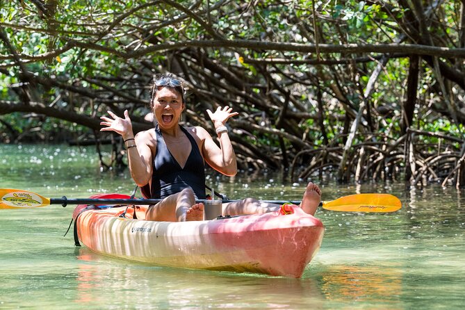 Sarasota Mangroves Kayaking Small-Group Tour (Mar )