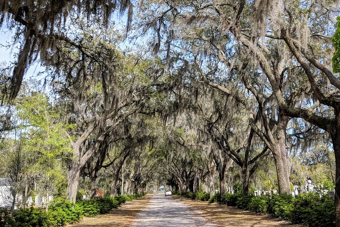 Savannah Private Tour of Historic District and Beyond (Mar )