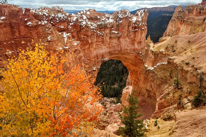 Scenic Tour of Bryce Canyon
