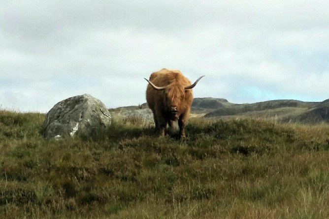 Scottish Highland Bike Tour by Manual or E-bike