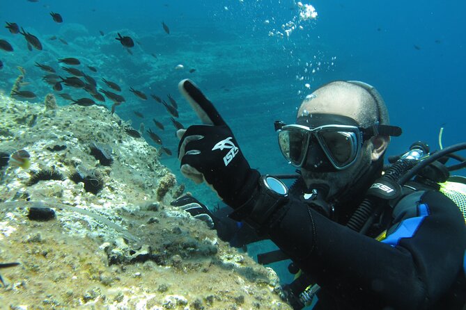 Scuba Diving Adventure in Santorini
