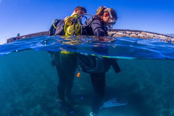 1 scuba diving baptism experience in santa cruz tenerife Scuba Diving Baptism Experience in Santa Cruz Tenerife