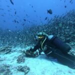1 scuba diving in hikkaduwa Scuba Diving in Hikkaduwa