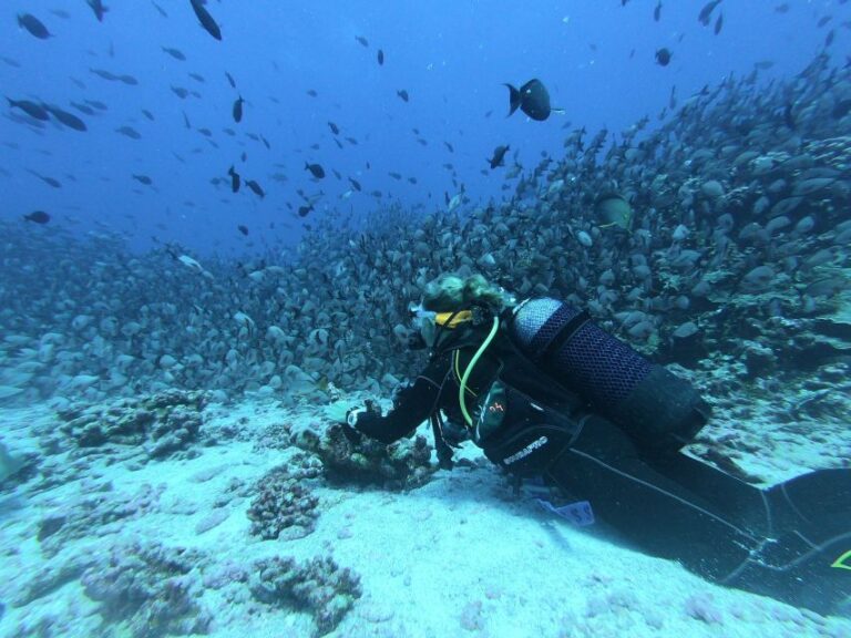 Scuba Diving in Hikkaduwa