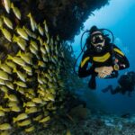 1 scuba diving in mirissa Scuba Diving in Mirissa