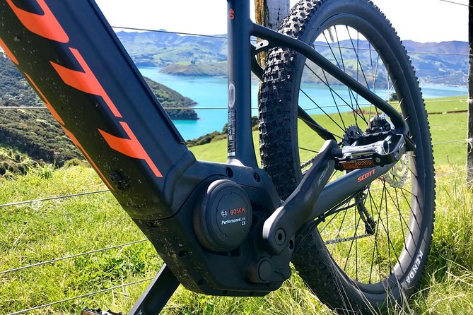 Sea to Summit- Electric Mountain Biking Tour in Akaroa