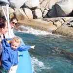 1 seal island boat tour from victor harbor Seal Island Boat Tour From Victor Harbor