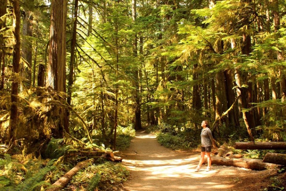 1 seattle olympic national park small group tour Seattle: Olympic National Park Small-Group Tour