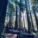 1 seattle sensory hike in twin fall for adventurous families Seattle: Sensory Hike in Twin Fall for Adventurous Families