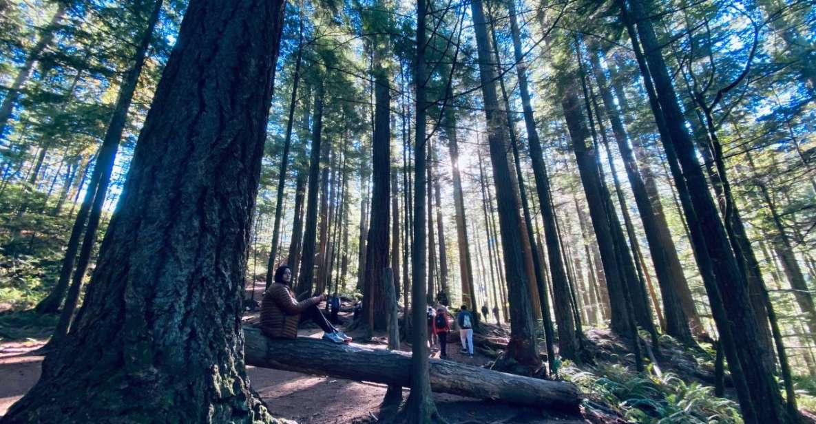 1 seattle sensory hike in twin fall for adventurous families Seattle: Sensory Hike in Twin Fall for Adventurous Families