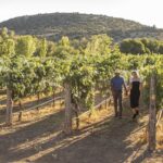 1 sedona arizona winery tour Sedona, Arizona: Winery Tour