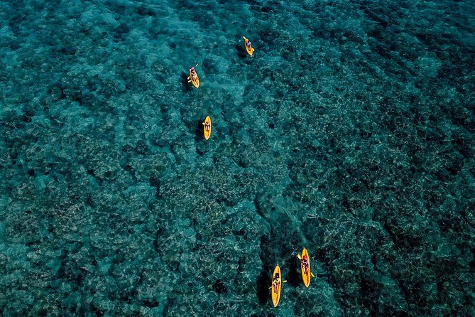 Self-Guided Kayaking Discovery in Kailua, Oahu