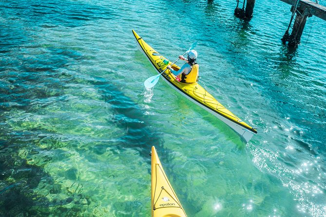Self-Guided Sydney Middle Harbour Kayak 3 Hour Tour by Single Kayak