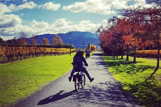 Self-Guided Wine Tours by Bike With Steve & Jo in Marlborough