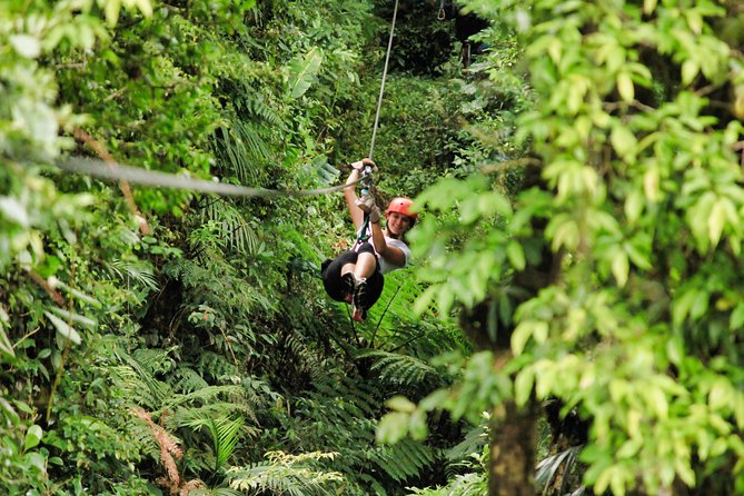Selvatura Park Combo Tour From Monteverde