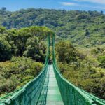 1 selvatura park hanging bridge tour in monteverde Selvatura Park Hanging Bridge Tour in Monteverde