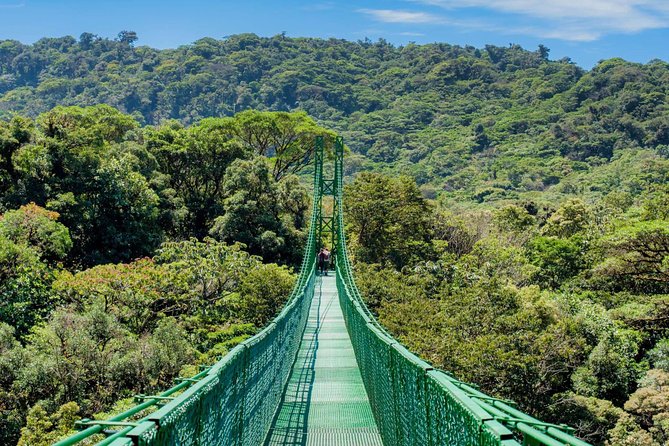 Selvatura Park Hanging Bridge Tour in Monteverde