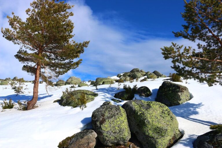 Serra Da Estrela Private Tour