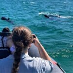1 setubal dolphin watching boat tour Setúbal: Dolphin-Watching Boat Tour