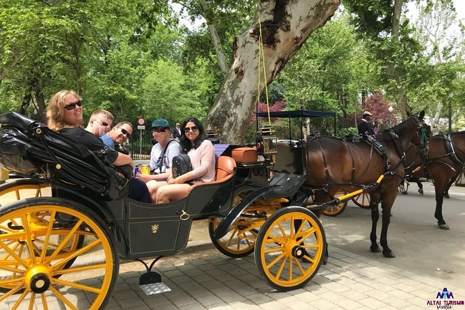 1 seville guided horse carriage private tour Seville Guided Horse Carriage Private Tour