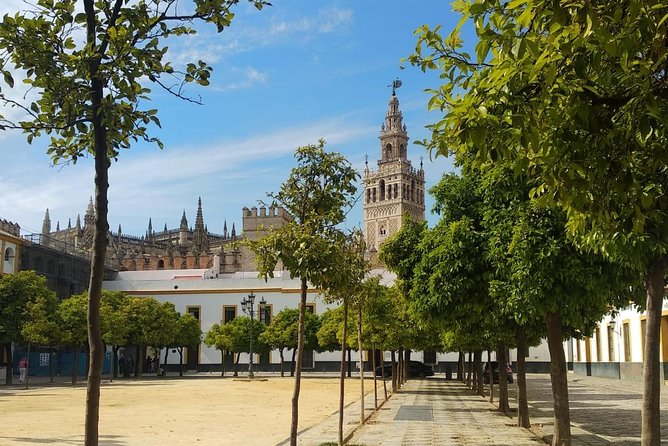 Seville Highlights Private Walking Tour - Customer Reviews