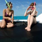 1 shallow water snorkeling and dolphin watching in key west