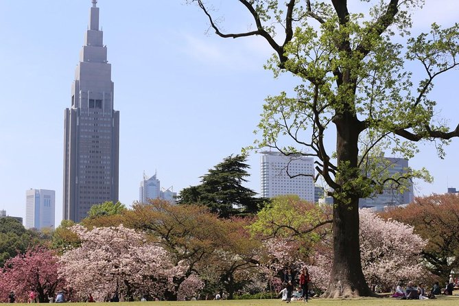 Shared Arrival Transfer : Haneda Airport to Central Tokyo City