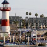 1 shared two hour whale watching tour from oceanside Shared Two-Hour Whale Watching Tour From Oceanside