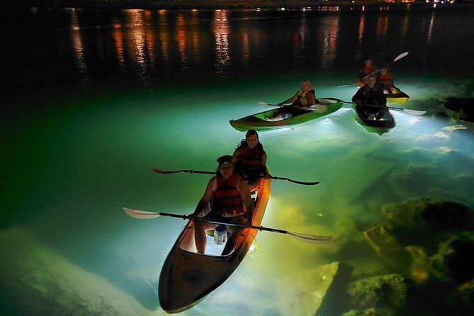 Sharkeys LED Illuminated Night Tour on Glass Bottom Kayaks in St. Pete Beach