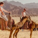 1 sharm atv camel ride bbq dinner show w private transfer Sharm: ATV, Camel Ride, BBQ Dinner & Show W Private Transfer