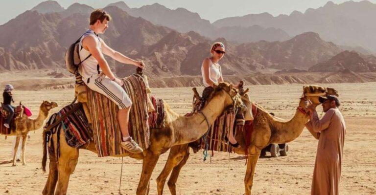 Sharm: ATV, Camel Ride, BBQ Dinner & Show W Private Transfer