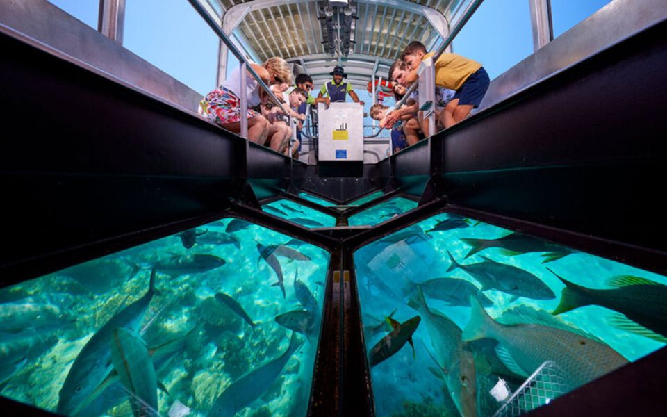 1 sharm el sheik coral reef glass bottom boat tour Sharm El-Sheik: Coral Reef Glass-Bottom Boat Tour