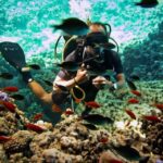 1 sharm el sheikh diving day trip by boat at ras mohamed Sharm El Sheikh: Diving Day Trip by Boat at Ras Mohamed