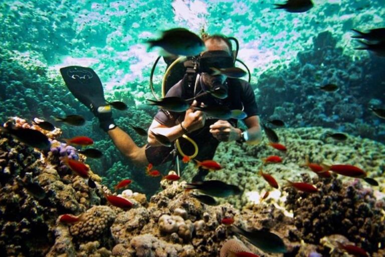 Sharm El Sheikh: Diving Day Trip by Boat at Ras Mohamed