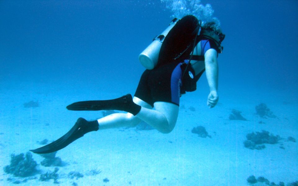 1 sharm el sheikh guided shore scuba diving at 2 dives Sharm El-Sheikh: Guided Shore Scuba Diving at 2 Dives