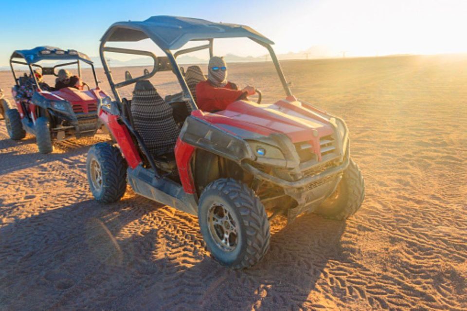 1 sharm el sheikh sunrise buggy adventure and bedouin tent Sharm El Sheikh: Sunrise Buggy Adventure and Bedouin Tent